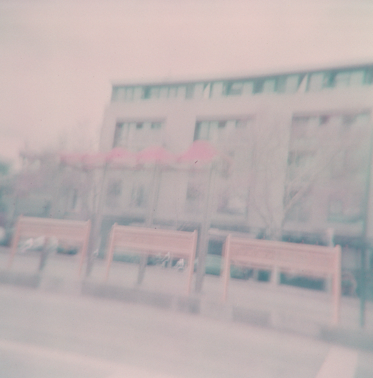 February 2026 01