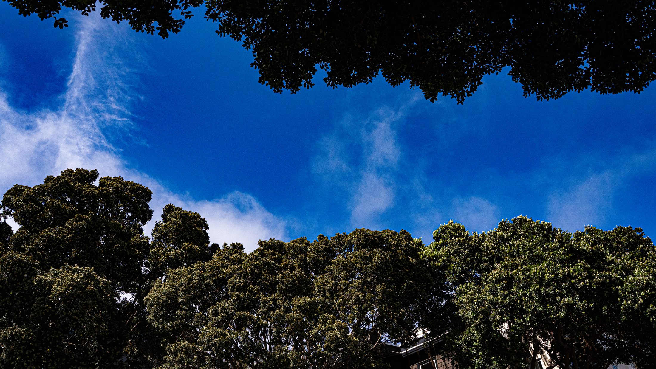 San Francisco fine art photography select 11